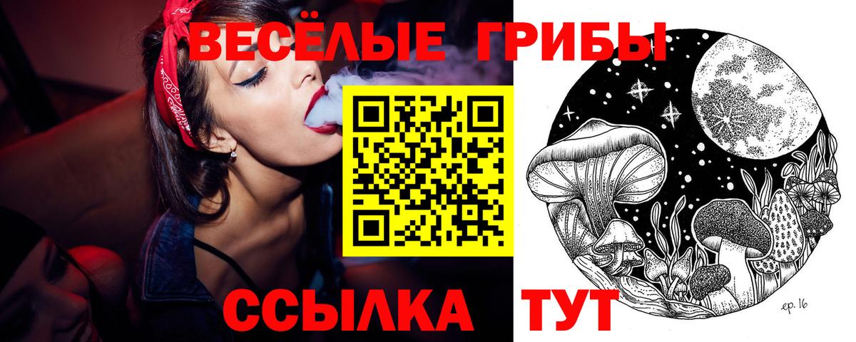 Псилоцибиновые грибы Cubensis Менделеевск